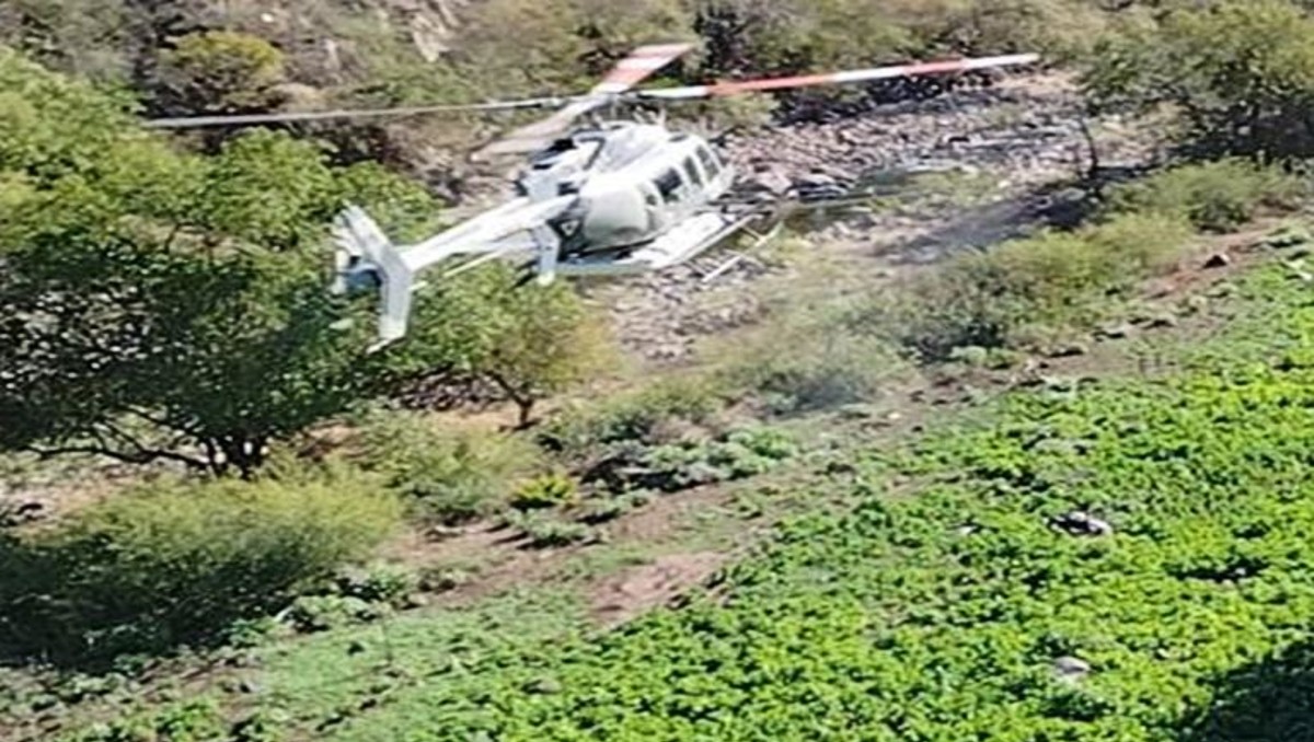 Fueron destruidos 132 plantíos de droga en cuatro estados del país. | SSPC