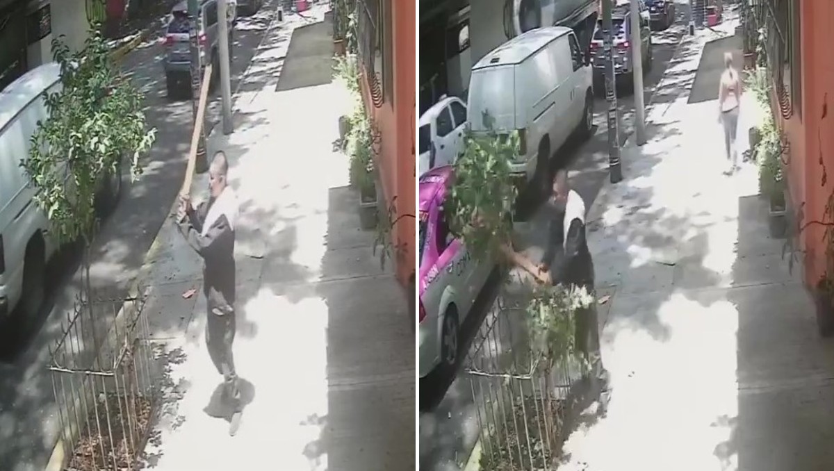 El hombre golpeó un árbol con ayuda de una tabla en la alcaldía Cuauhtémoc. | Especial
