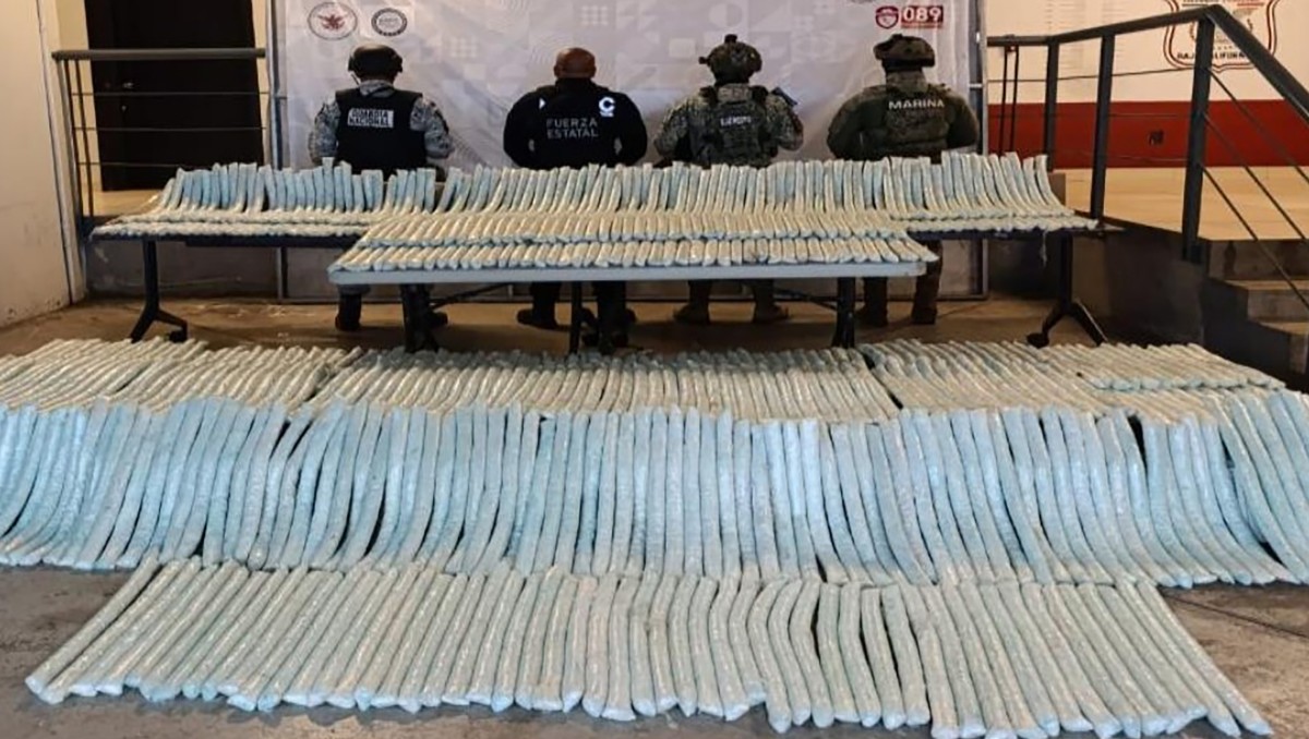 Asestan golpe nacional al crimen: 90 detenidos y más de mil kilos de droga incautada | Especial