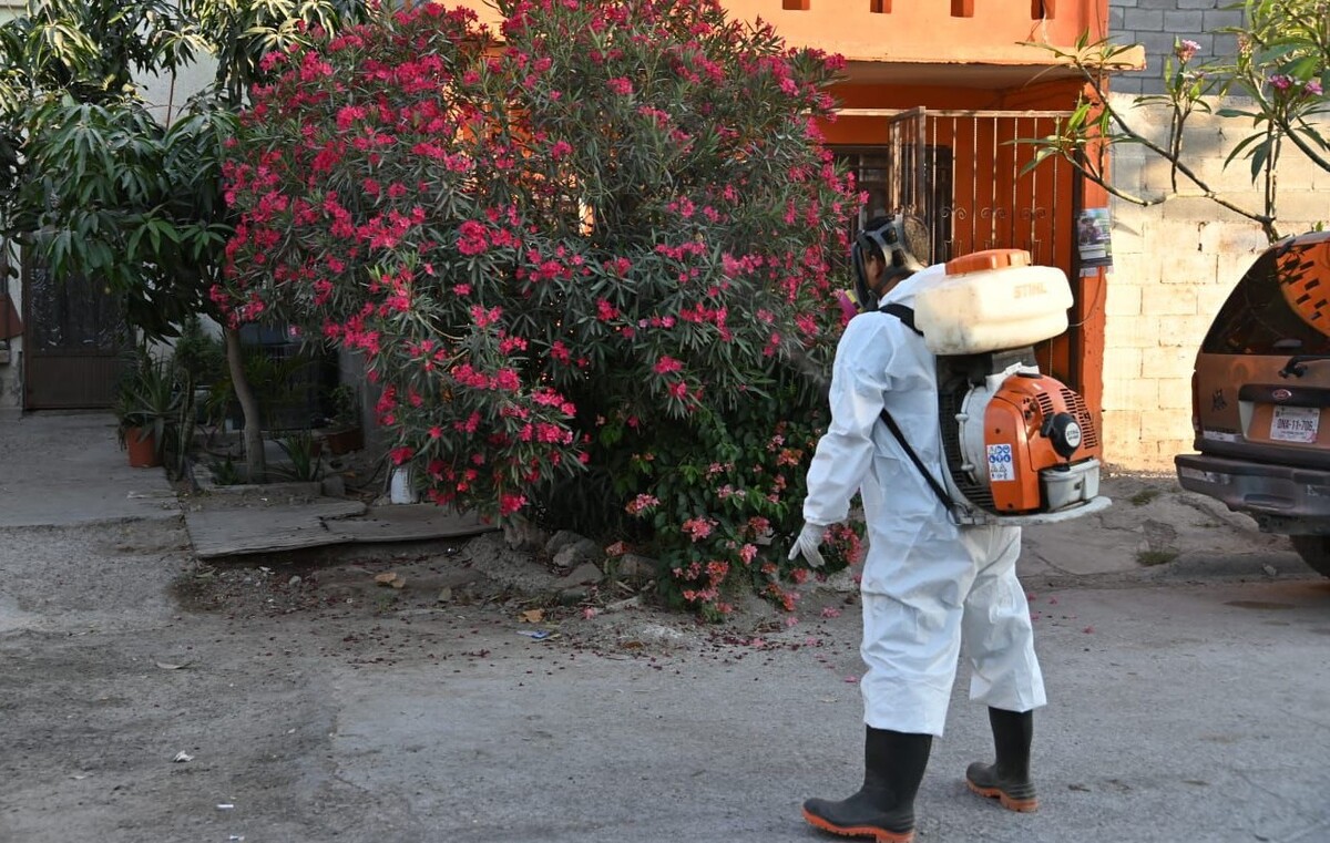 Disminuyen casos de dengue en Gómez Palacio gracias a acciones de prevención. (Especial)