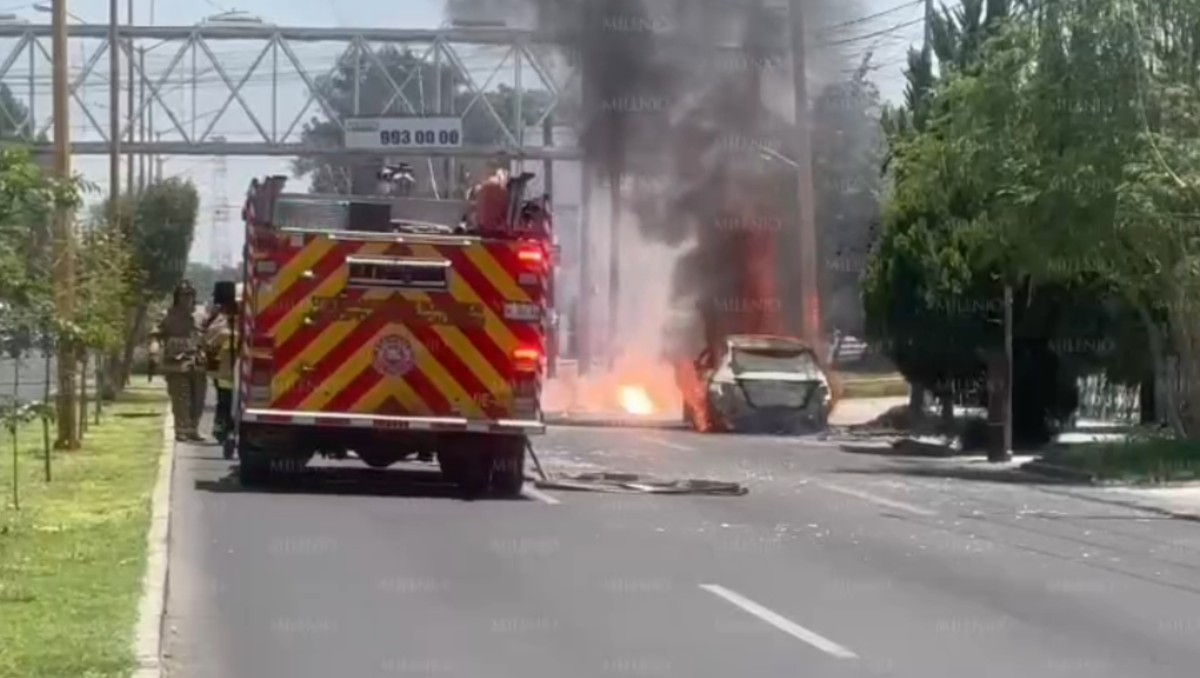 Elementos de Protección Civil, bomberos y personal de la CFE arribaron al lugar de los hechos | Especial