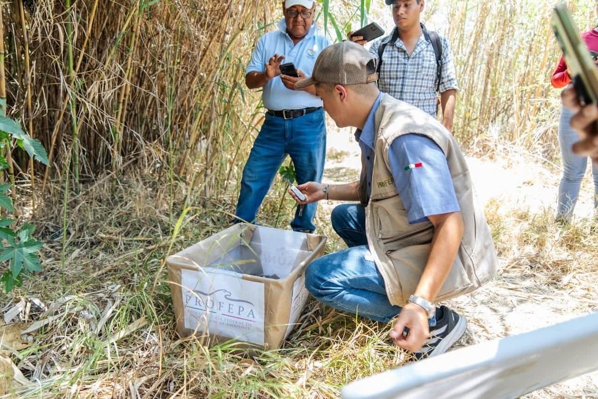 Liberación de especies rehabilitadas en Pachuca. (Cortesía)
