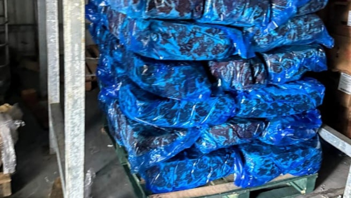 Se localizaron productos cárnicos, aunque no se precisó la cantidad. Foto: Especial