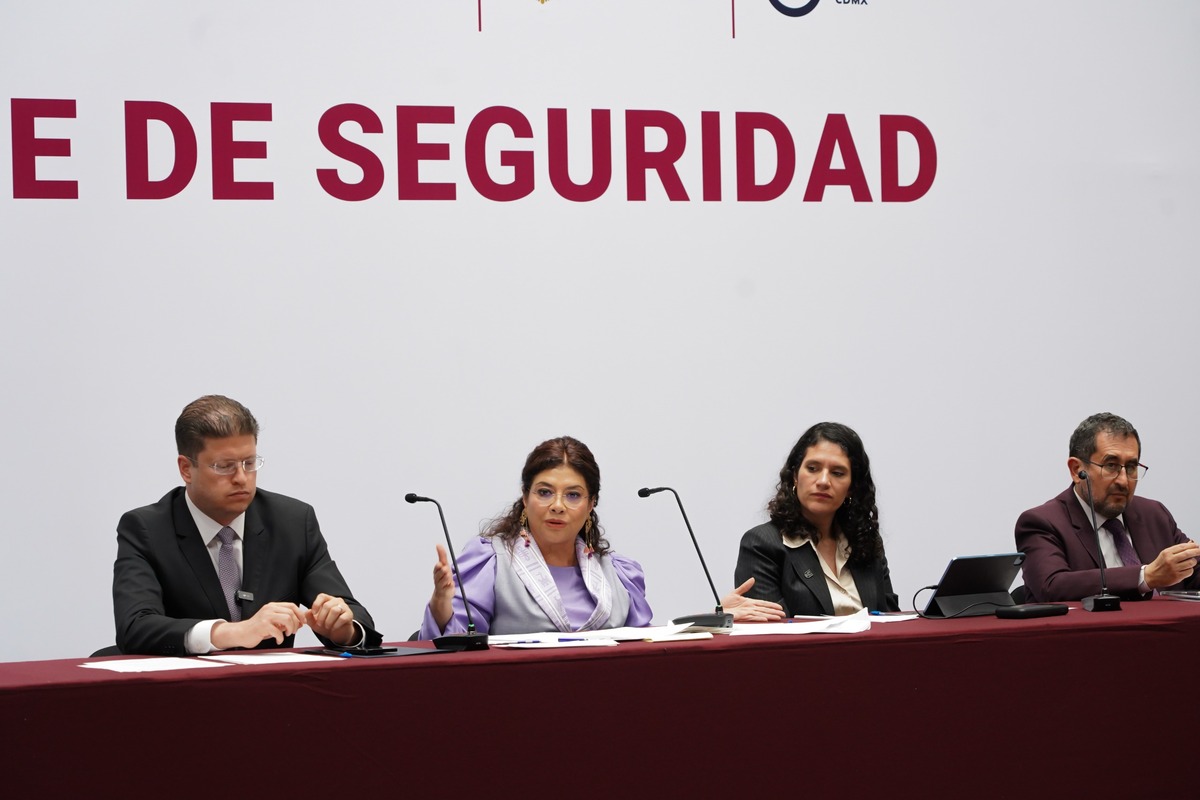 Brugada aseguró que se tiene previsto que la participación del ejército sea en límites territoriales. (Foto: especial)