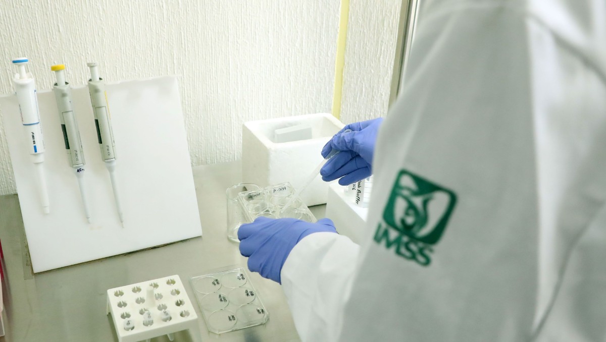 El IMSS puede brindar servicio médico en sus UMF.