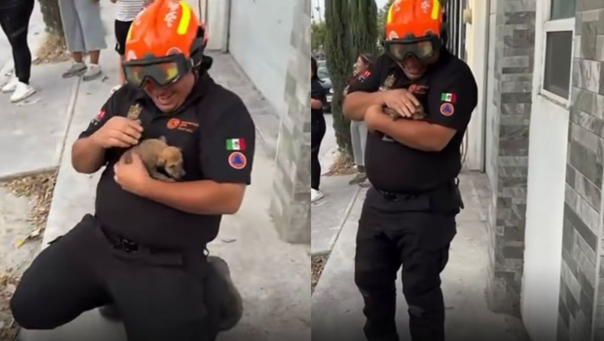 El rescate del perrito se realizó afuera de un domicilio en la calle Sastres, en la colonia La Alianza | Especial