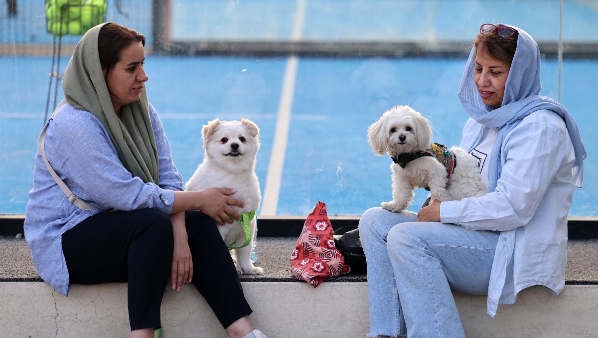 Tener un perro en Irán es símbolo de opulencia. | AFP