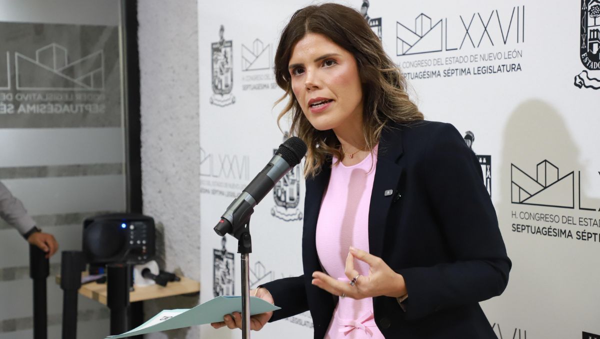 También se busca dotar a la Secretaría de Economía de nuevas herramientas de inspección | Especial