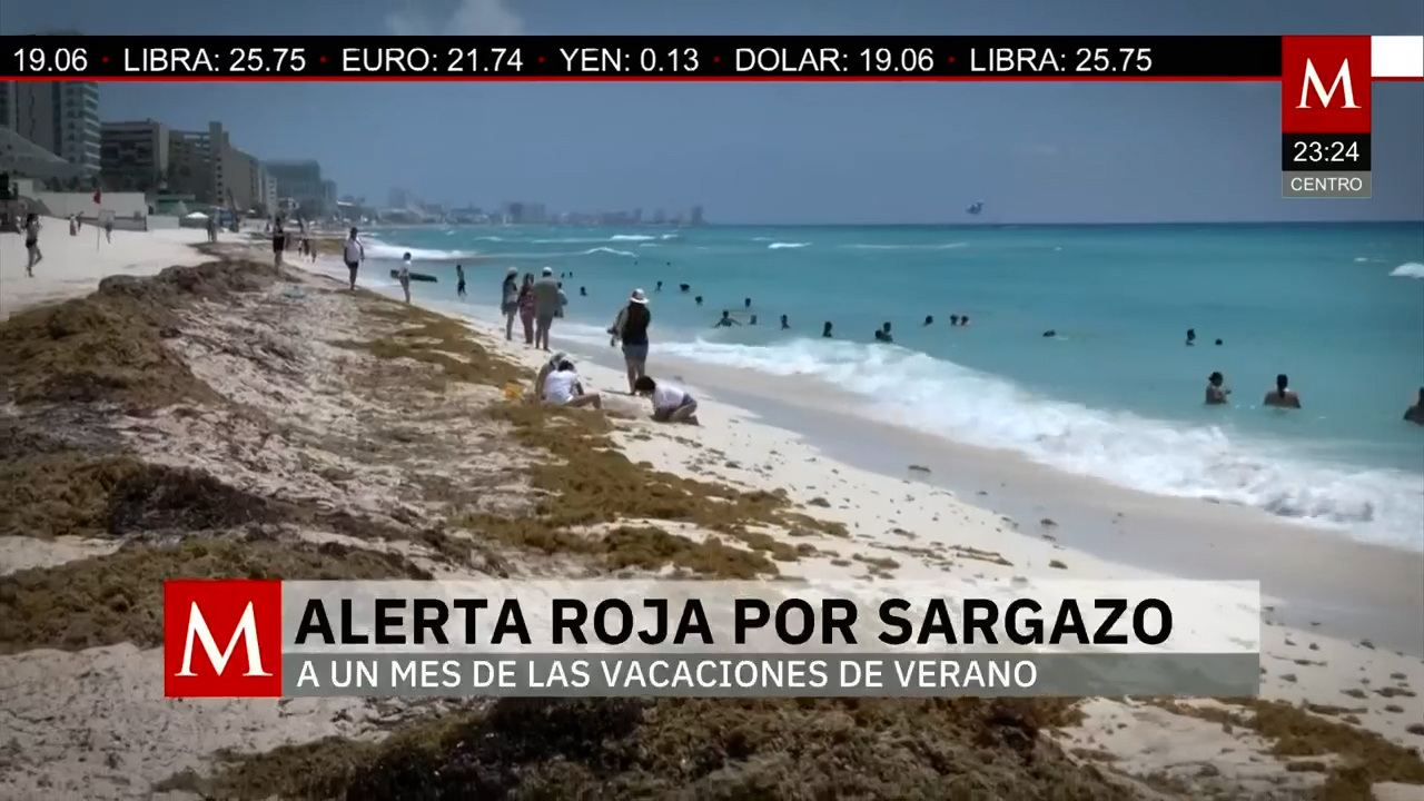 Combate al sargazo en Quintana Roo se vuelve prioridad urgente