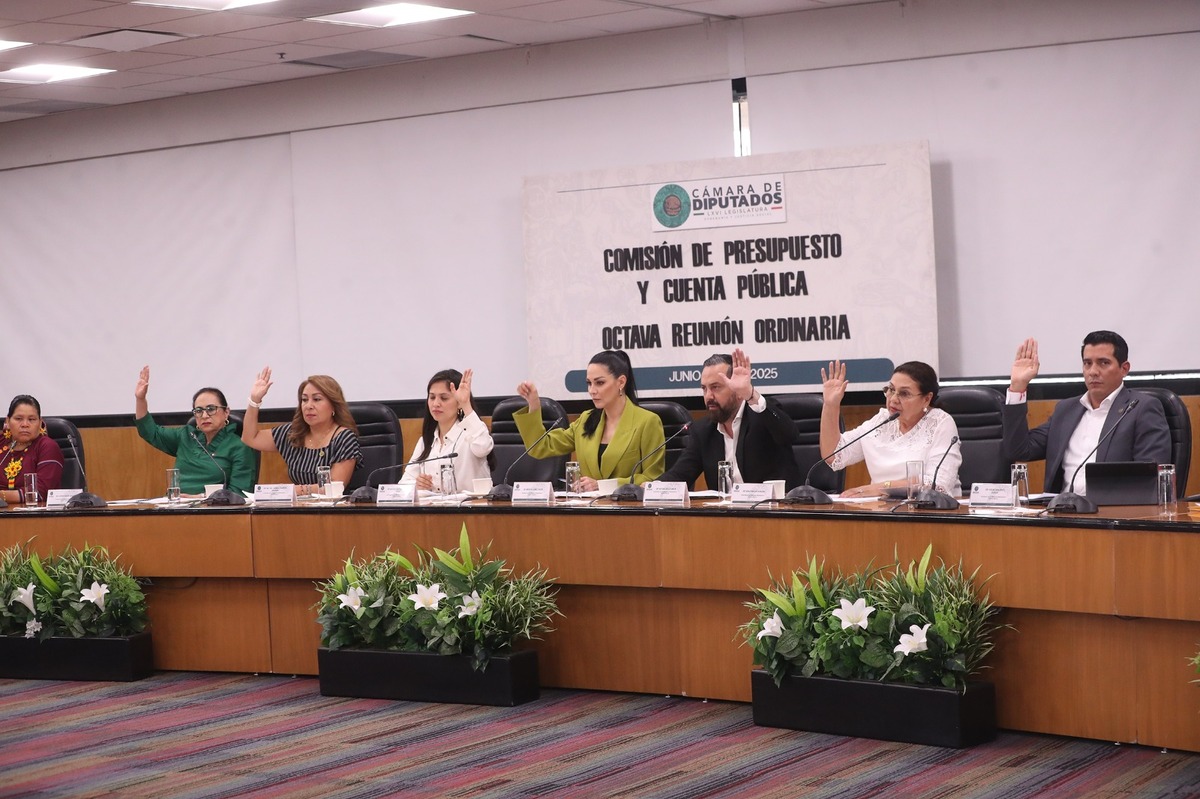 Diputados de Morena y aliados respaldan reforma constitucional. | Especial