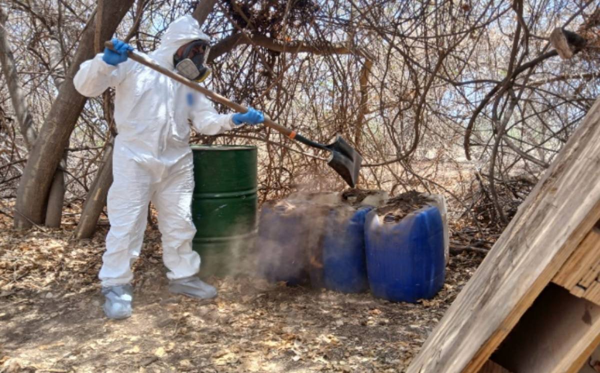 inhabilitan áreas para la elaboración de drogas en Sinaloa