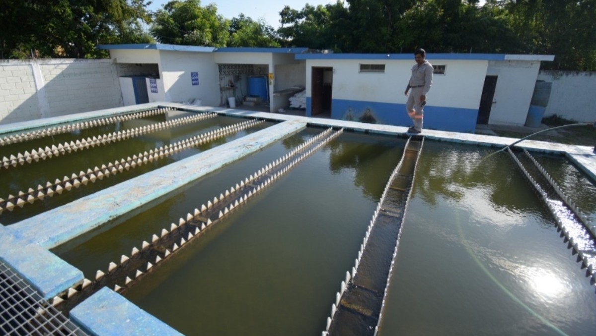 Potabilización de agua en Tamaulipas.