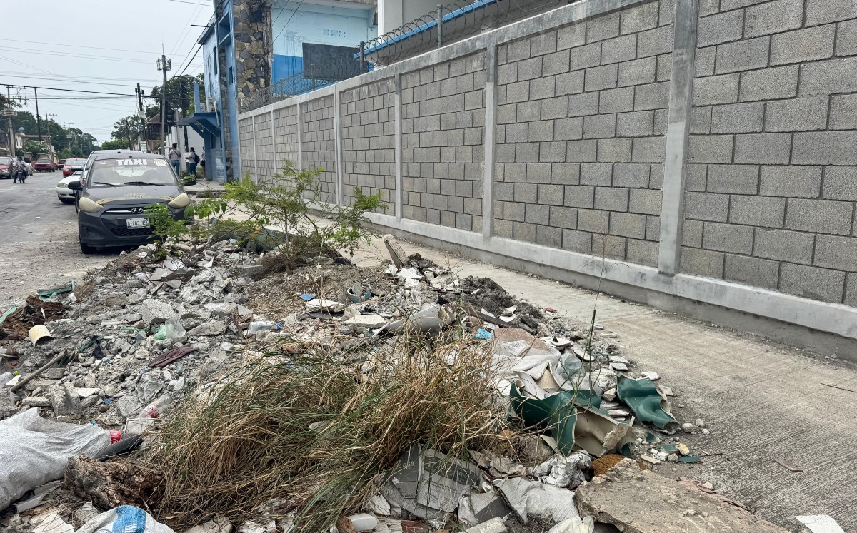 La empresa contratada para la demolición no se hizo cargo del retiro de los restos. | Mario Juárez