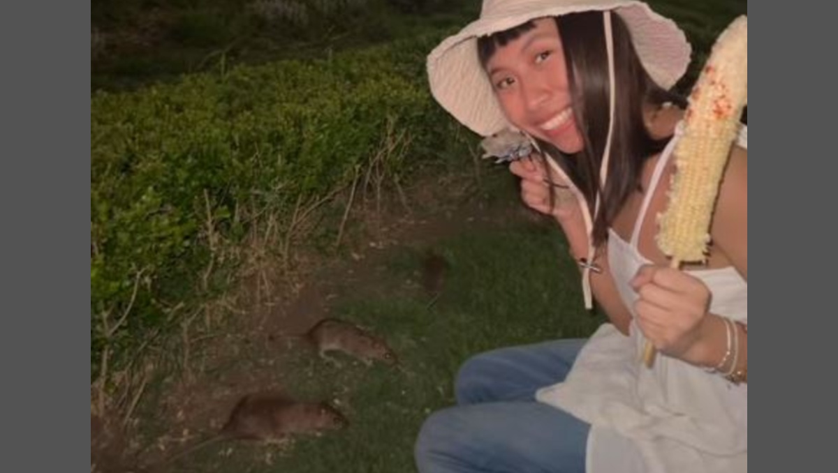 La creadora de contenido captó esto en video y generó muchas reacciones en Instagram | Captura