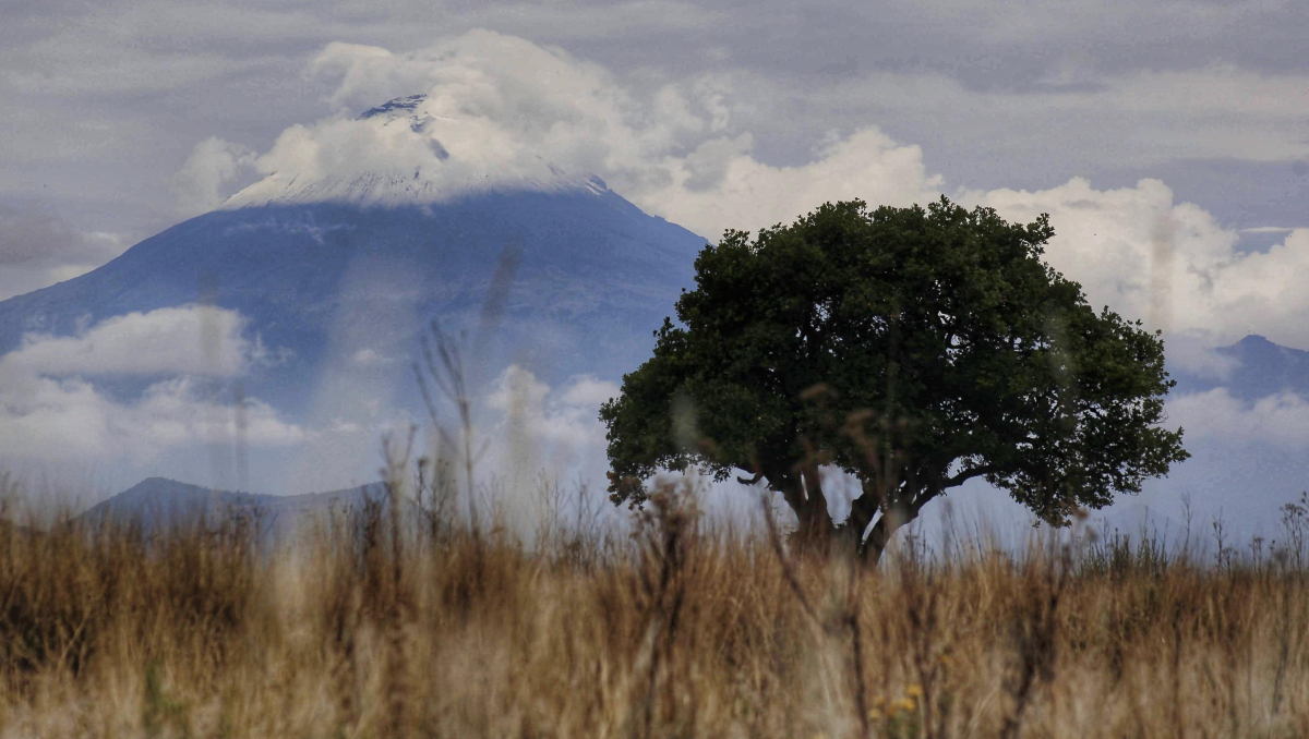 Popocatépetl HOY: Actividad registrada 13 de junio de 2025 | EN VIVO | Andrés Lobato