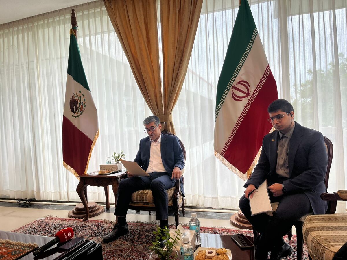 Embajada de Irán espera que organizaciones internacionales actúen ante ataques de Israel. | Especial