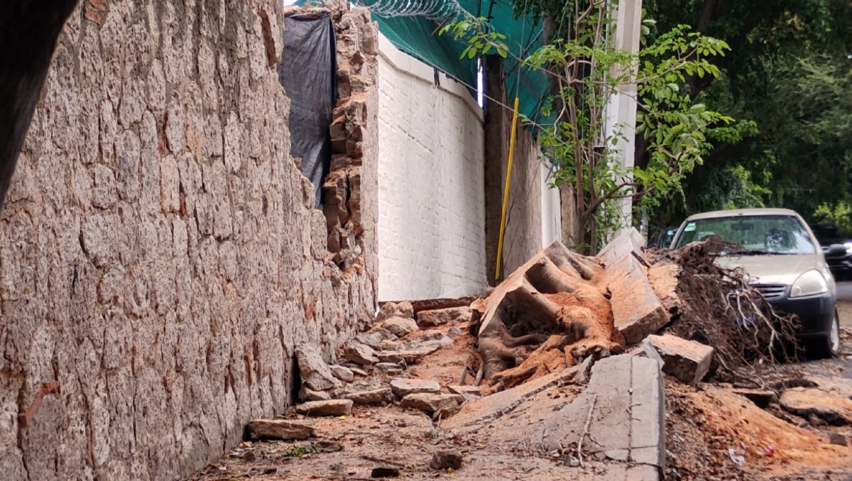 Las lluvias dejaron varios estragos además de los árboles derribados, colapsó una barda de un fraccionamiento privado. (Foto: Fátima Briceño)
