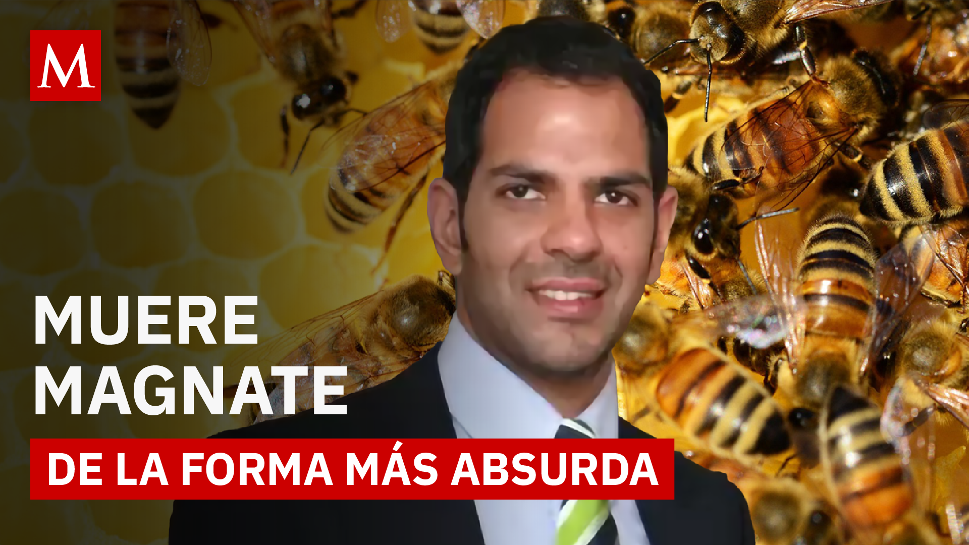 Multimillonario muere tras insólito accidente con una abeja: ¿Qué pasó?