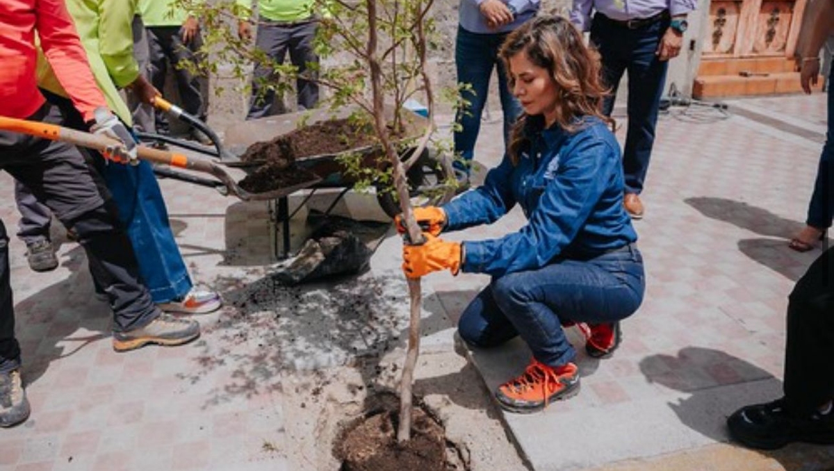 La alcaldesa de Guadalajara, Verónica Delgadillo, plantó algunos árboles en la Rotonda de los Jaliscienses Ilustres (Foto: Cortesía)
