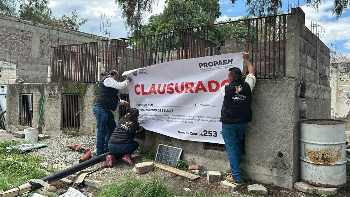 Tras denuncia ciudadana, Propaem actúa y clausura centro de atención animal en Teotihuacán por maltrato.| Especial