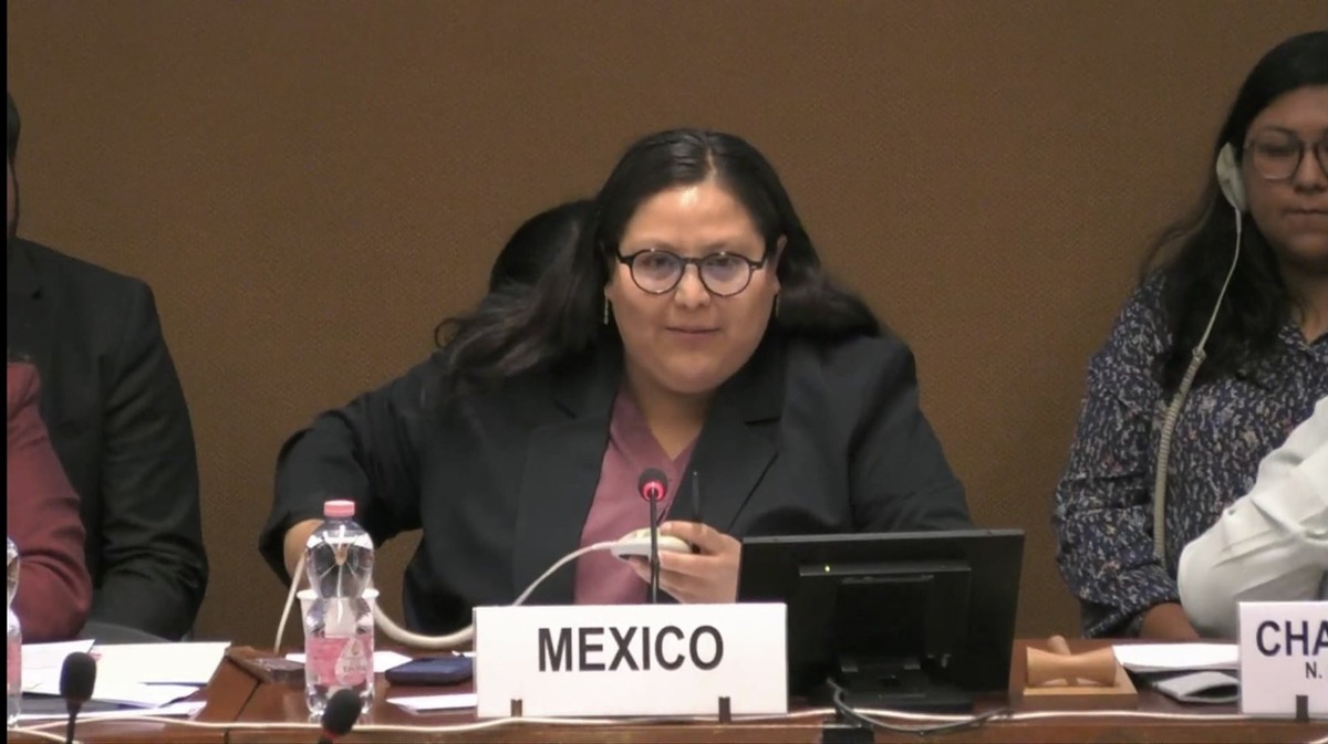 titular de la Secretaría de las Mujeres, Citlalli Hernández. | Especial