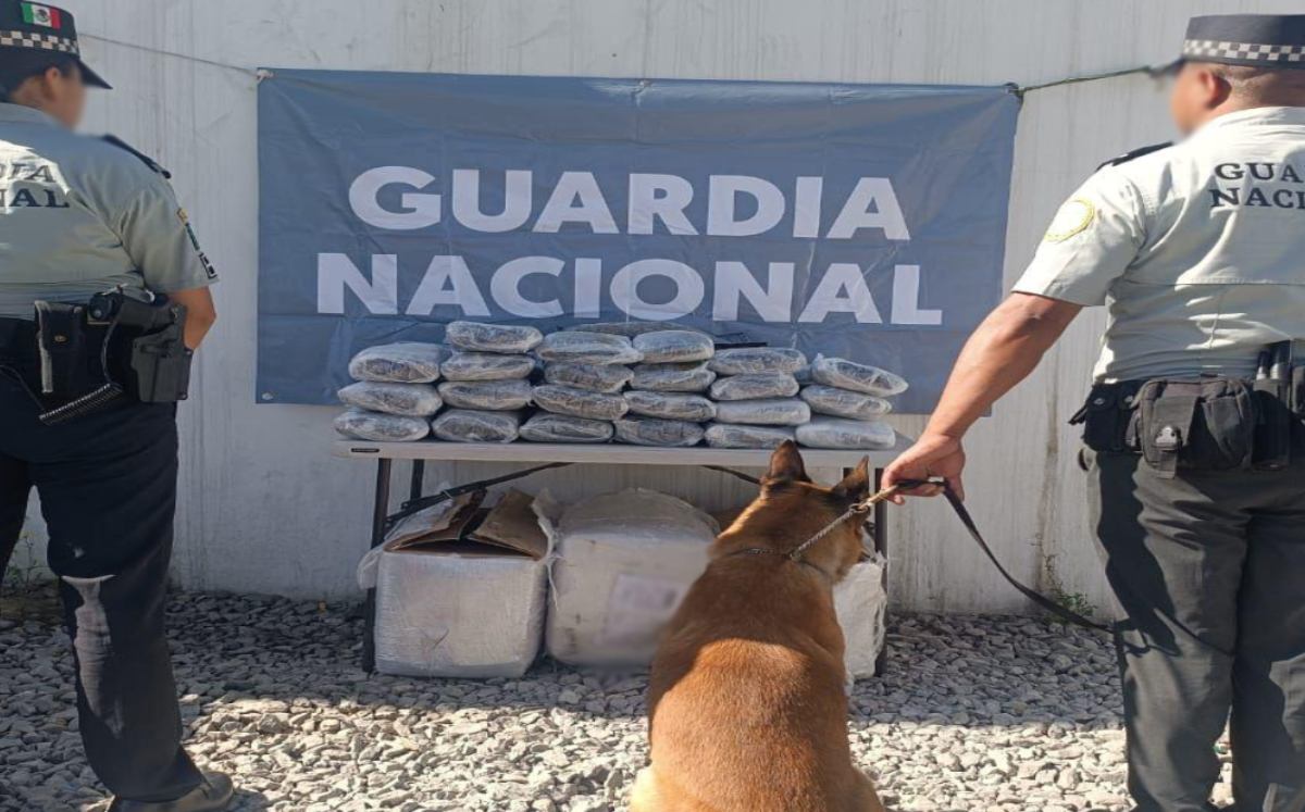 Las autoridades aseguraron dosis de drogas durante la detención | Especial