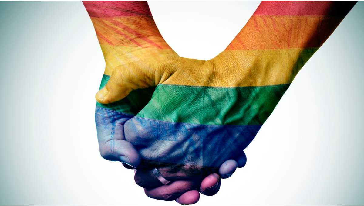 Matrimonio igualitario.