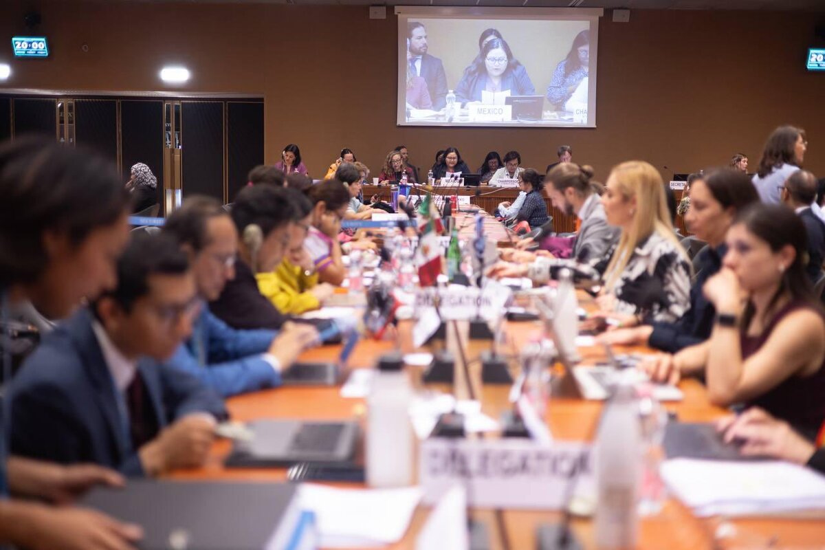 México participó en la 2151ª Reunión del 91º periodo de sesiones del CEDAW-ONU. | X