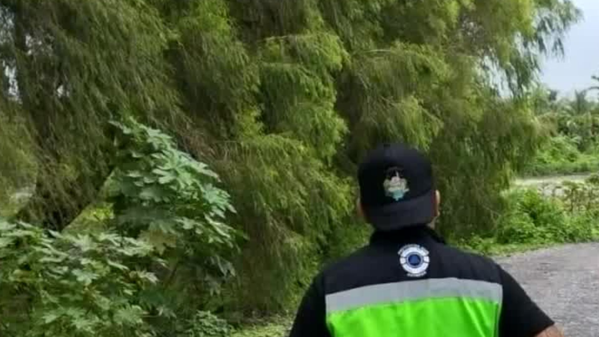 En Veracruz, las lluvias provocaron accidentes, derrumbes, caída de árboles y encharcamientos