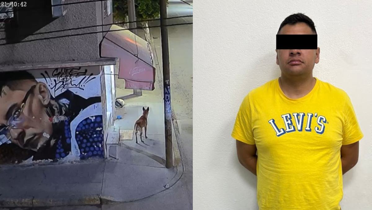 Exagente de la Fiscalía Edomex recibe prisión preventiva por asesinar al perro “Pastor” en calles de Ecatepec.| Especial