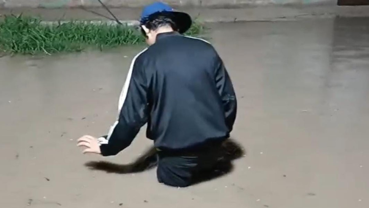 De este nivel fue la inundación tras lluvia en El Salto (Vicente Torres Alfaro)