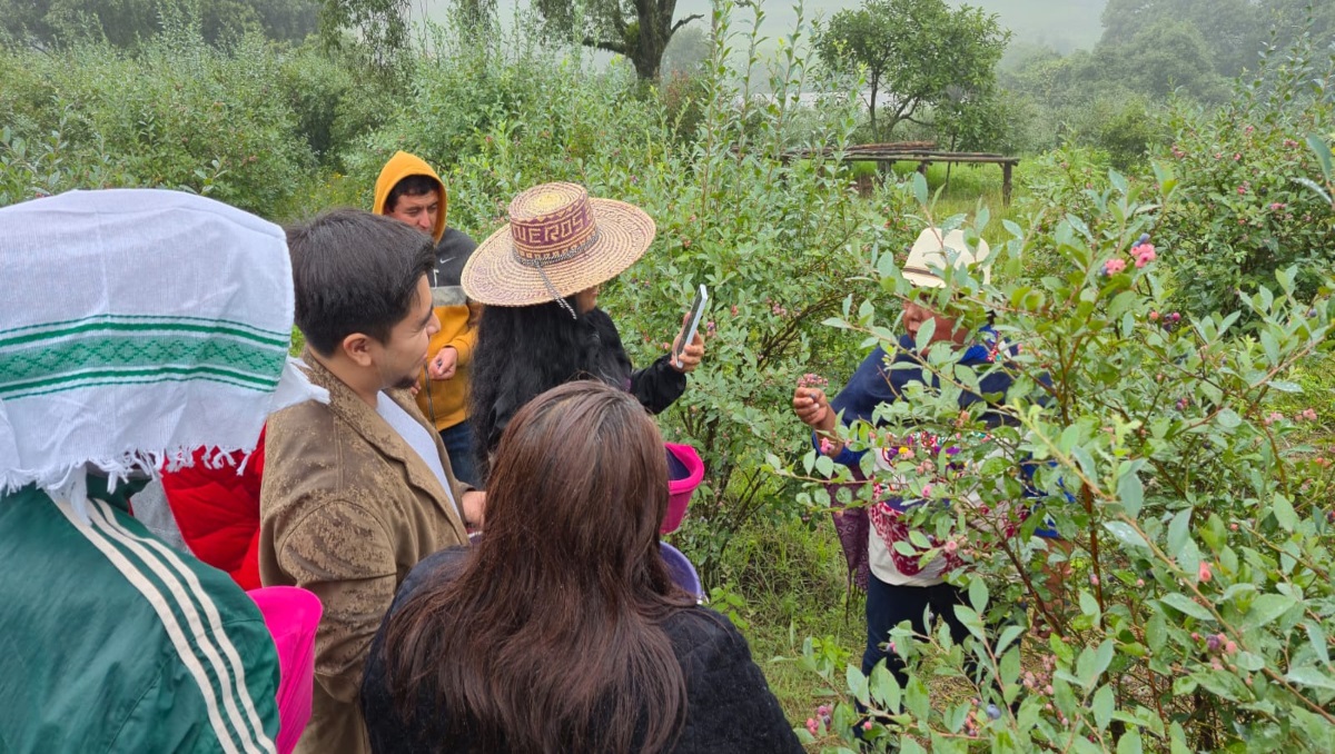 Puebla impulsa el agroturismo con la Blue Ruta en Zacatlán | Especial
