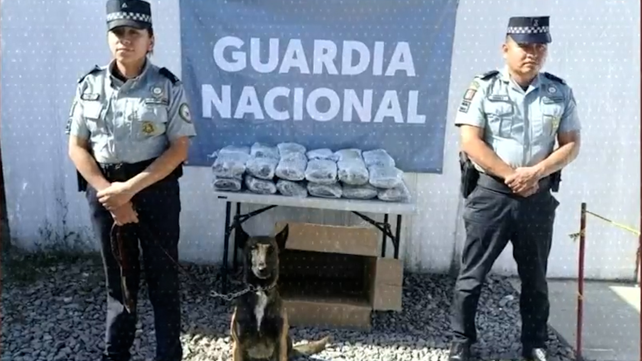 Seguridad en 1 MINUTO: Las detenciones más destacadas de HOY 20 de junio de 2025