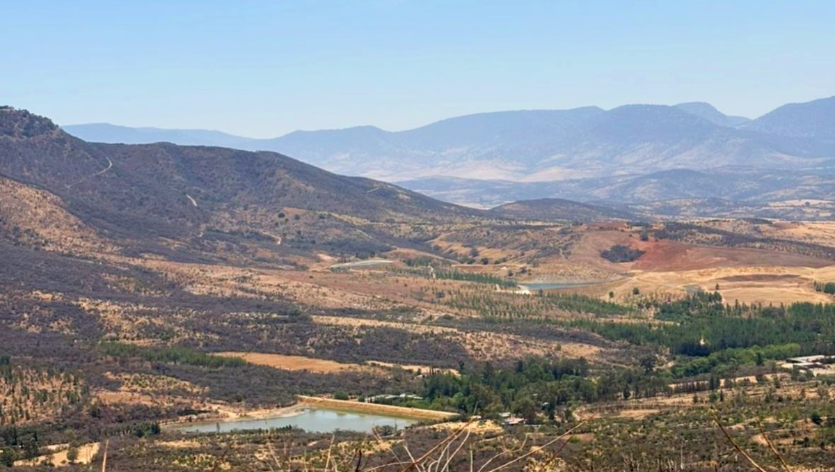 Sierra de Lobos prevé reforestación con más de 600 árboles | Especial