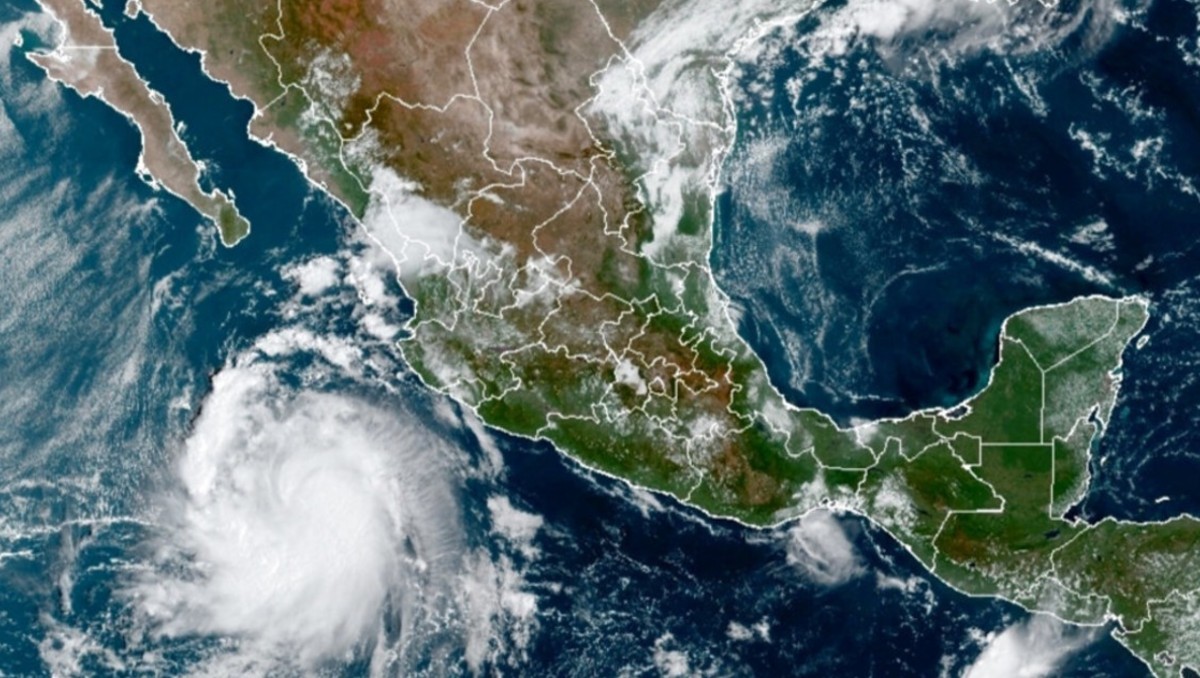 SMN confirma el desarrollo del séptimo ciclón tropical en el Pacífico | Especial (Archivo)