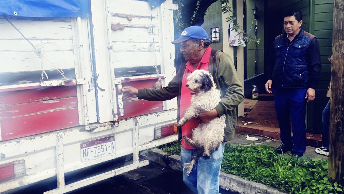 Los animales fueron asegurador y puestos a disposición de las autoridades. | Especial