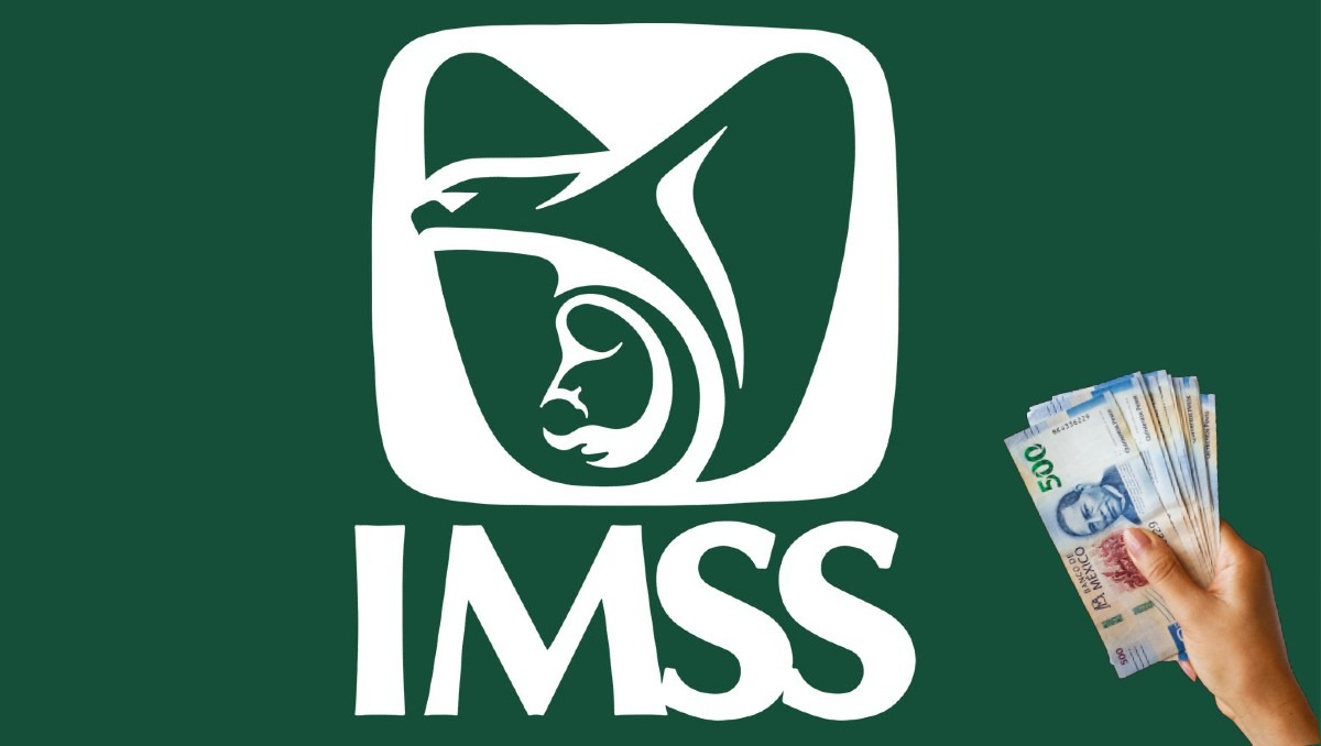 Puedes continuar cotizando en el IMSS con la Modalidad 40 | Especial