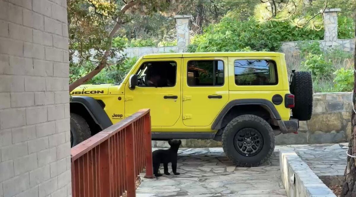 Se trató de dos osos, un cachorro y uno de talla adulta que logró entrar a la jeep familiar.| Especial