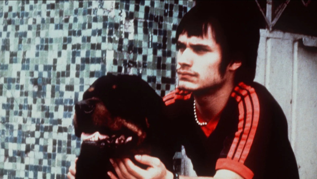 Amores Perros tendrá función en 4K en la Cineteca Nacional por Mubi