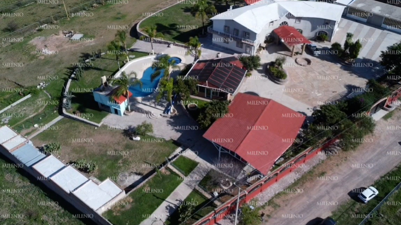 Aseguran finca con plantación de mariguana en Aguascalientes; hay dos detenidos