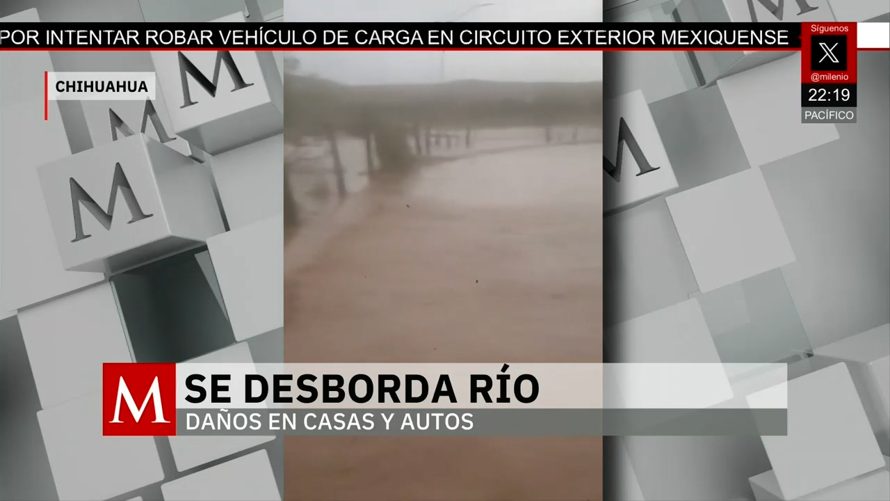 Campos menonitas en Chihuahua sufren severos daños por fuertes lluvias