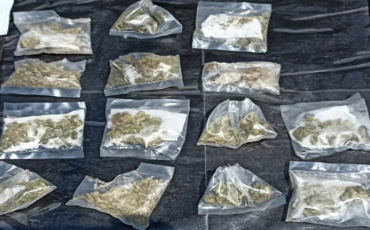 Dosis de mariguana decomisadas durante el Operativo frontera norte. | Especial