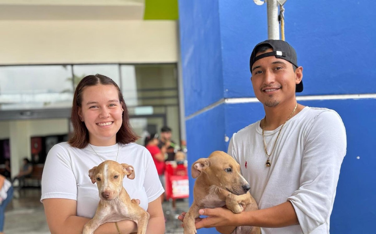 Incluso contaban con un sistema de adopción para perros y gatos.
