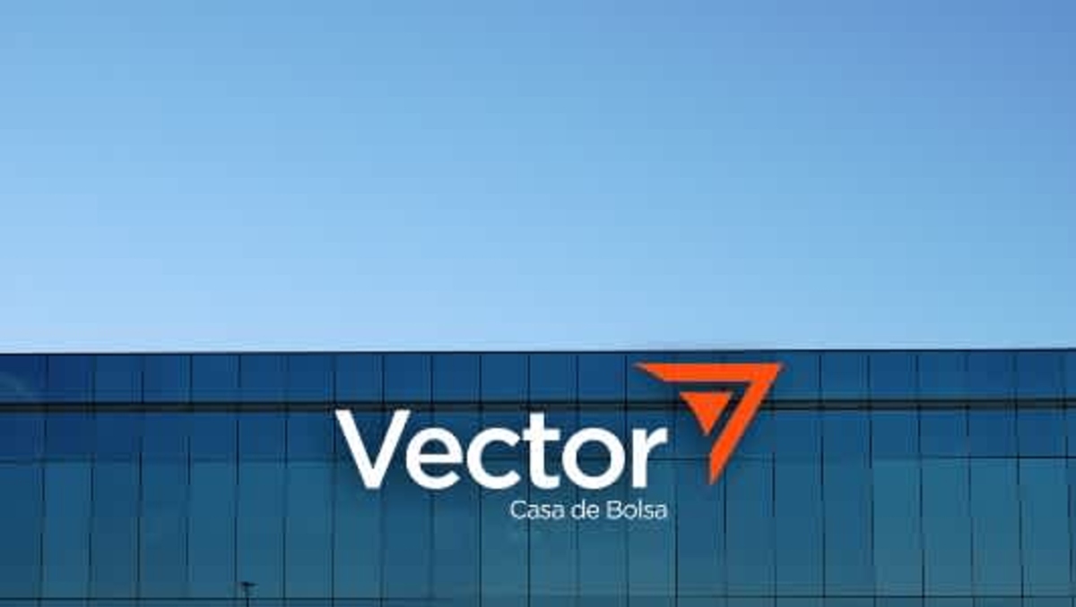 junto con otras dos organizaciones financieras, Vector fue acusada de lavado de dinero. | Especial