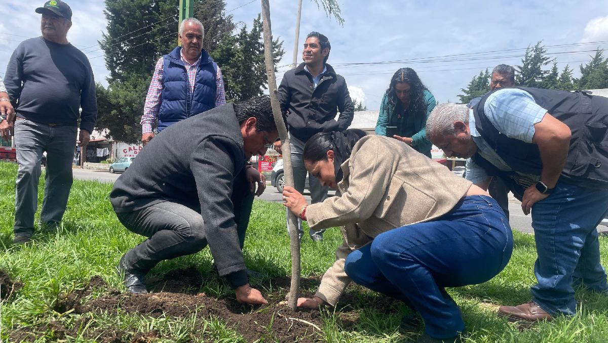 Probosque autorizó la plantación de 20 mil árboles en Tenango del Valle. Foto: (Especial)