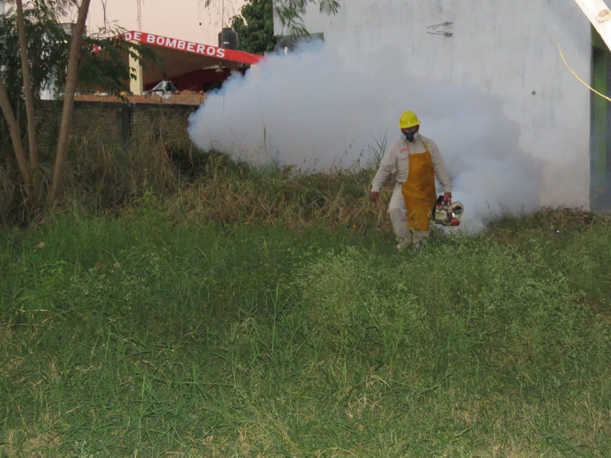 En lo que va del año 2025, se han confirmado 37 casos de dengue. (Cortesía)