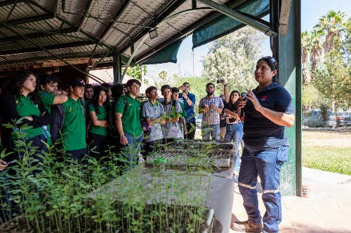 Peñoles impulsa la reforestación en La Laguna y el país. (Cortesía)