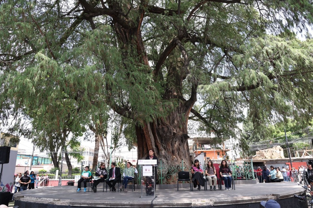 Reconoció el trabajo de la CDHCM a lo largo de 30 años. (Foto: especial)