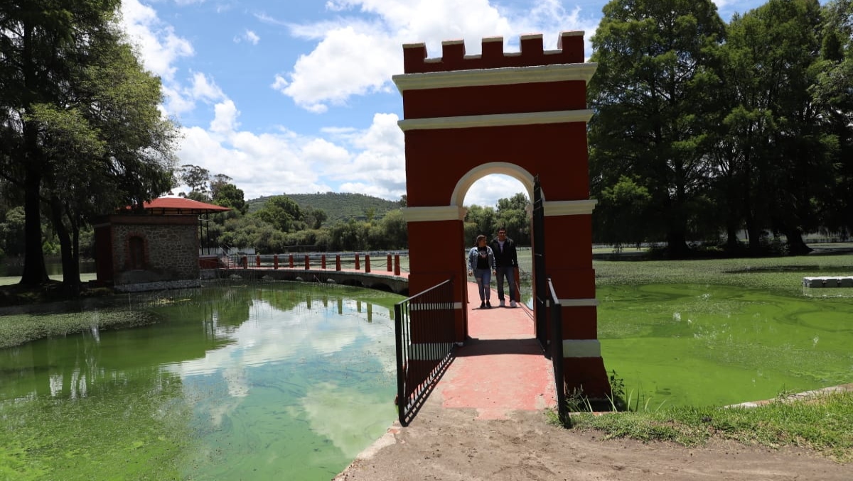 Valle de las Luciérnagas, experiencia nueva en Ex Hacienda de Chautla | Melanie Torres