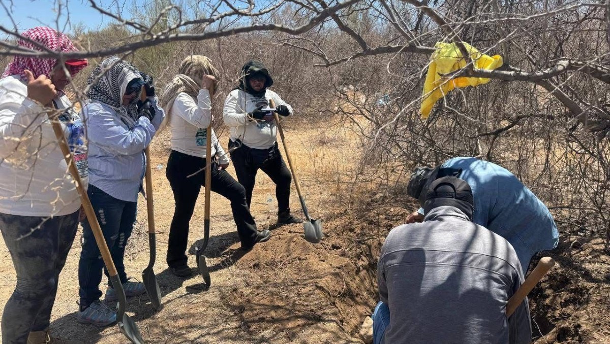 Descubren cementerio clandestino entre cultivos de trigo en Sonora